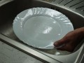mytí nádobí jírovcem 2.